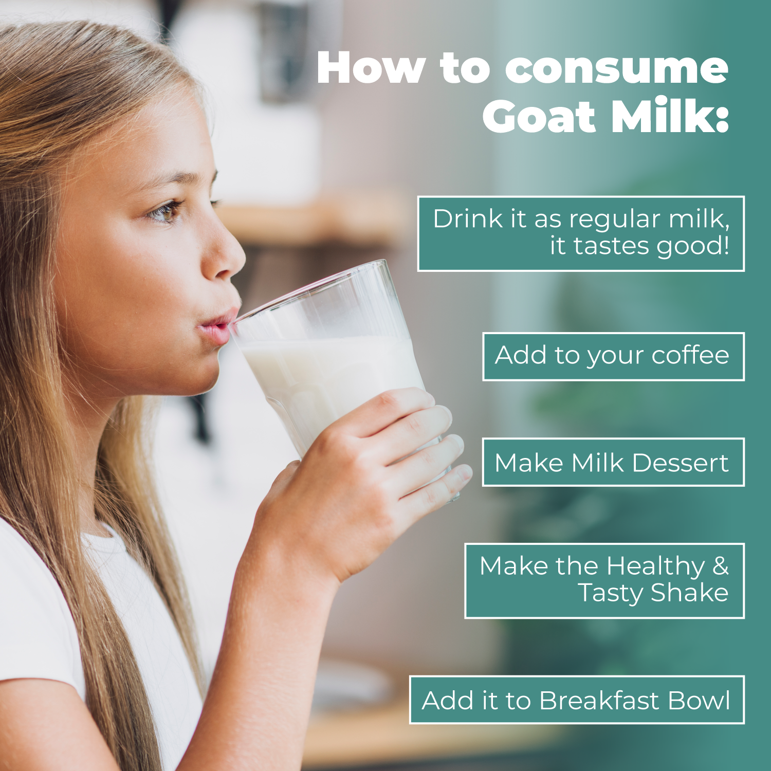 milky-boat-goat-milk-powder-s3-2